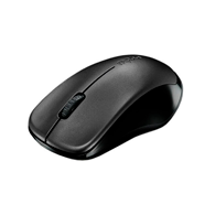 MOUSE RAPOO 1620/WIRELESS/BLACK